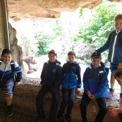 Alpenzoo2