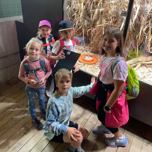 Alpenzoo5