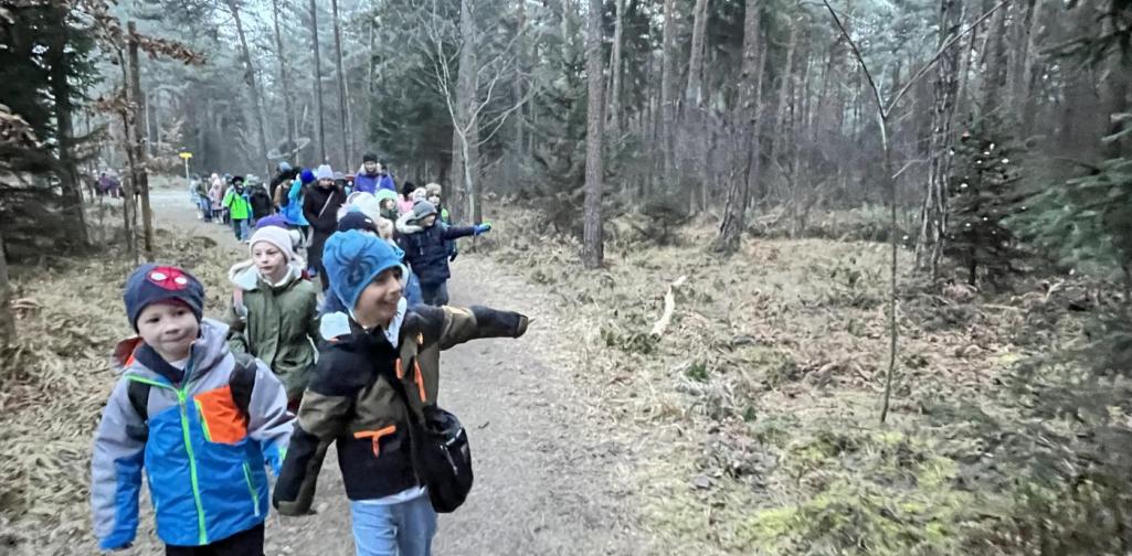 VS Terfens Vomperbach Wald